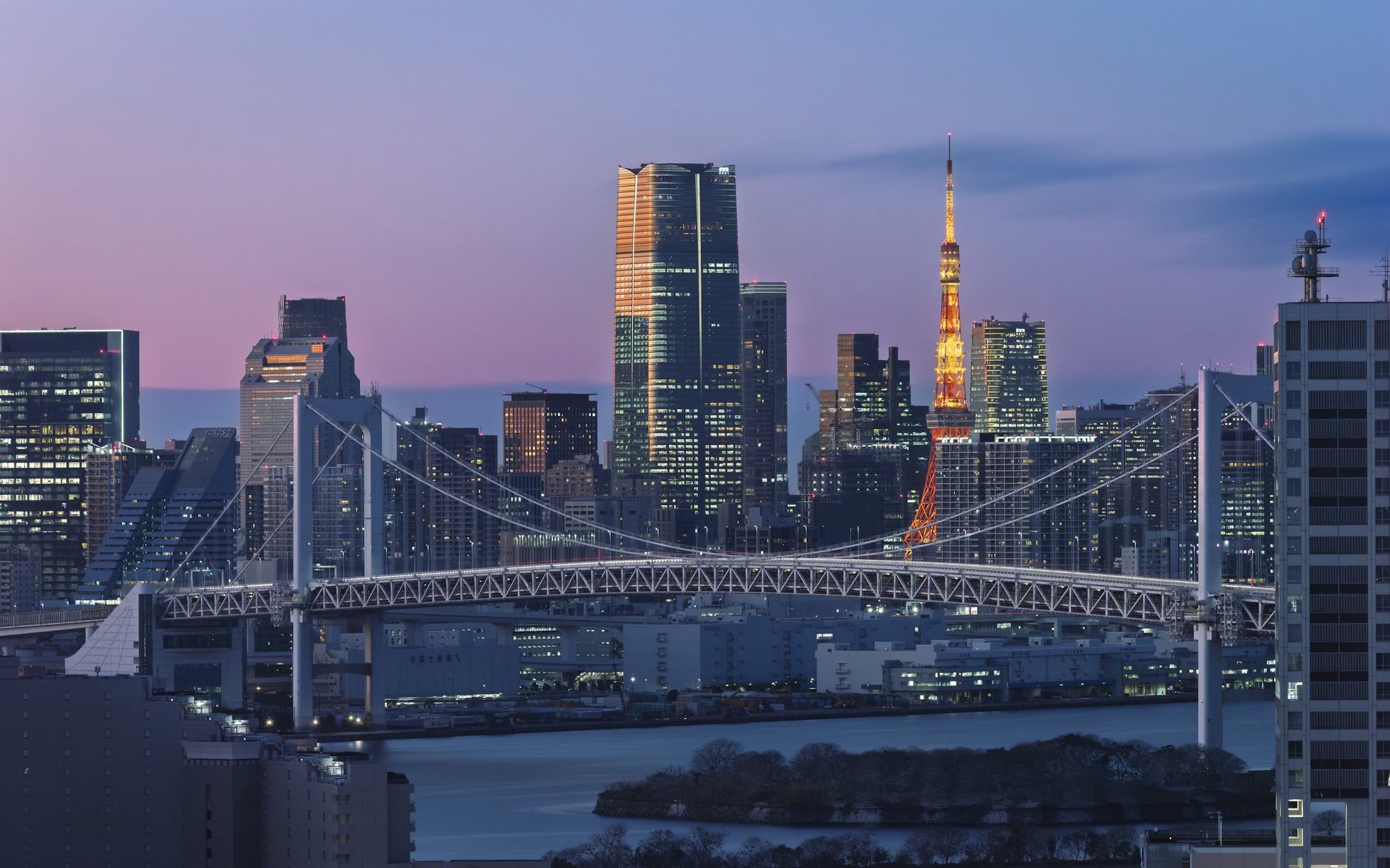 Tokyo skyline with Rainbow Bridge and Tokyo Tower at twilight